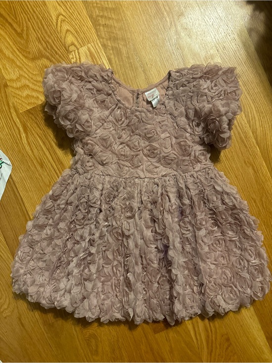 Hanna Andersson Other - Hanna Andersson Mauve Rose Appliqué Party Dress